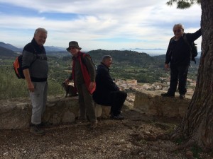 IMG_0533 (Medium)